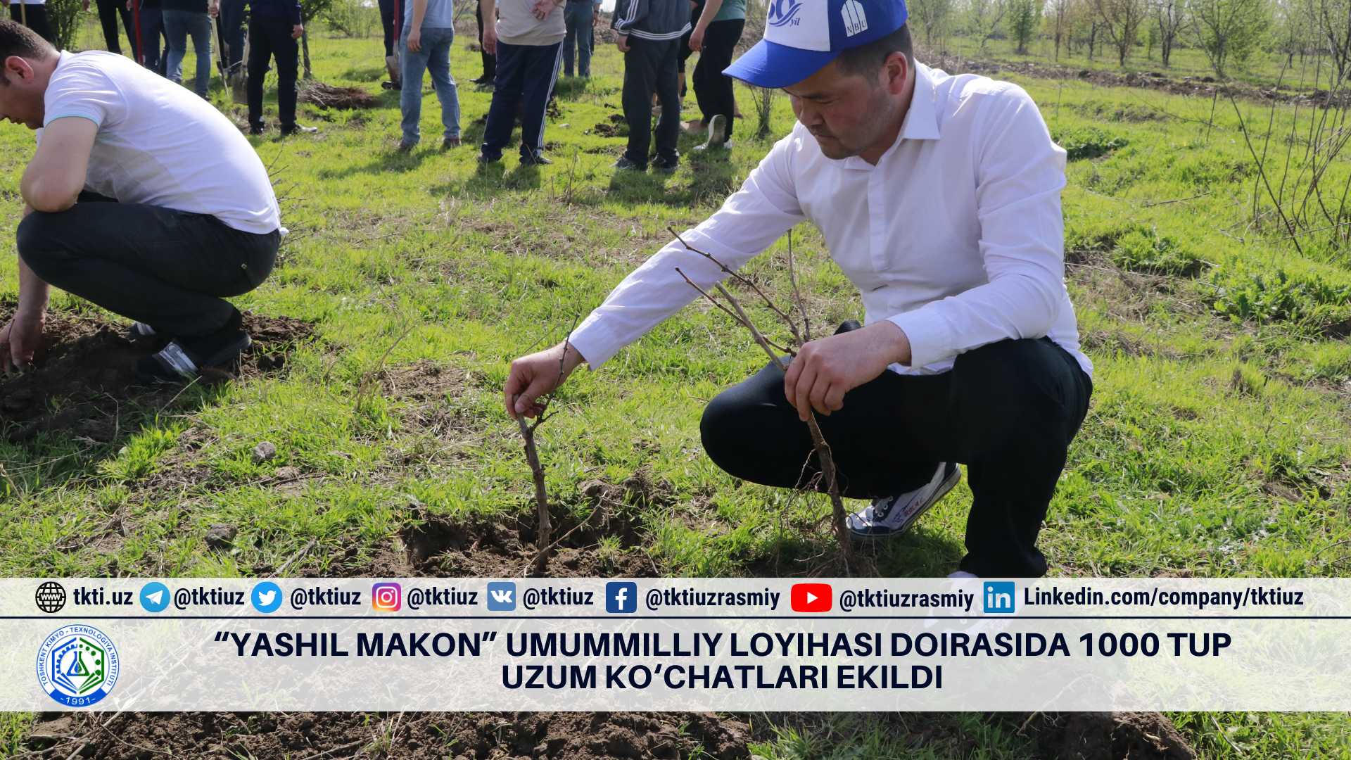 “Yashil makon” umummilliy loyihasi doirasida 1000 tup uzum ko‘chatlari ekildi | tkti.uz