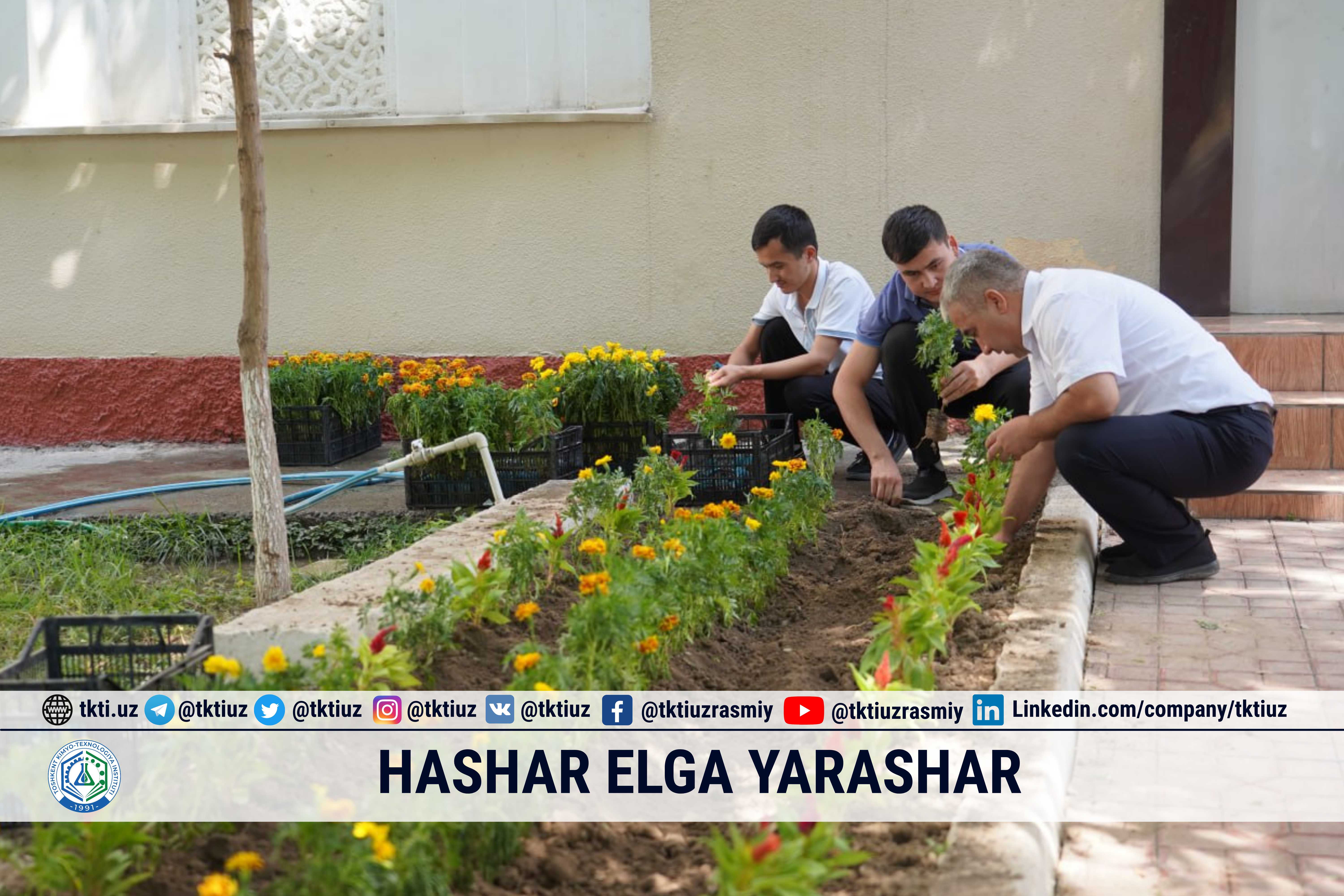 Hashar elga yarashar | tkti.uz