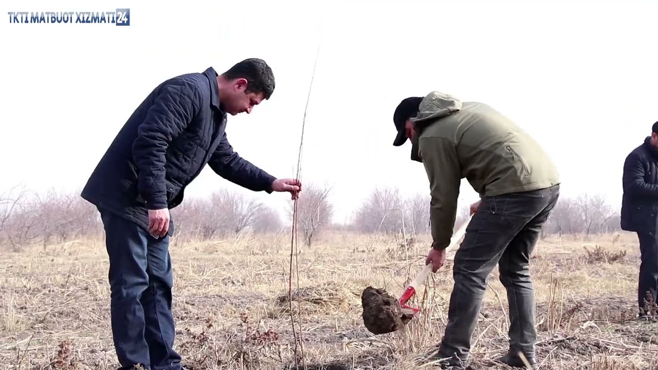 #yashilmakon #bizdaraxtekdik“ | tkti.uz