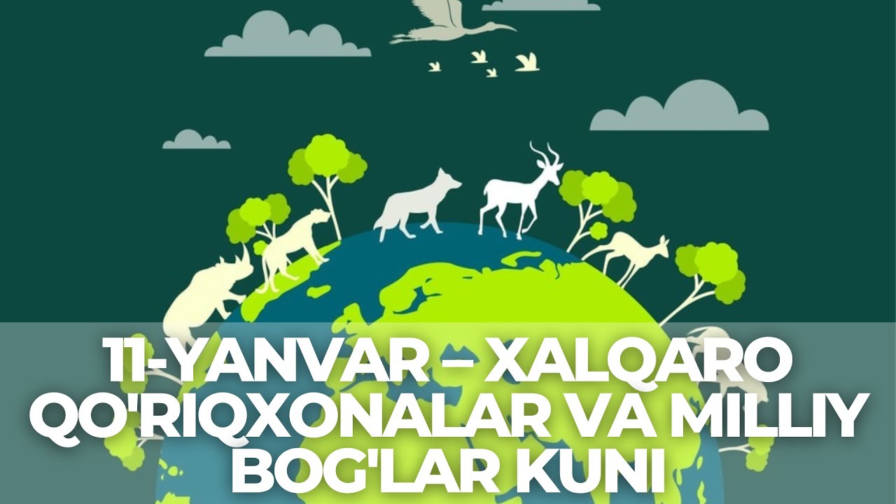 Qo‘riqxonalar va milliy bog‘lar kuni munosabati bilan tadbirlar tashkil etildi | tkti.uz